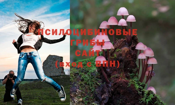 прущие крисы Абинск