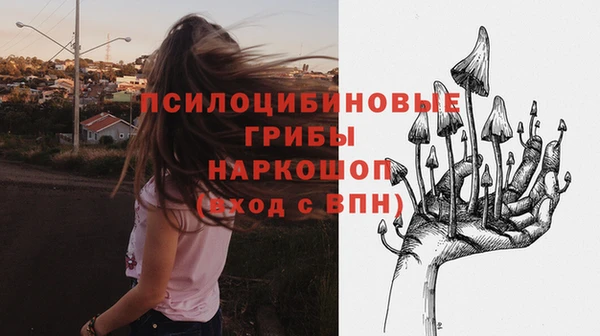 прущие крисы Абинск