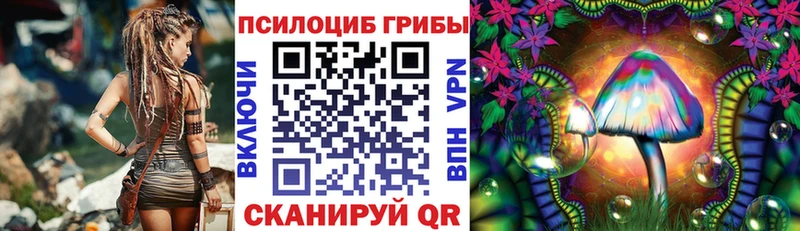 это какой сайт продажа наркотиков Оренбург Галлюциногенные грибы GOLDEN TEACHER