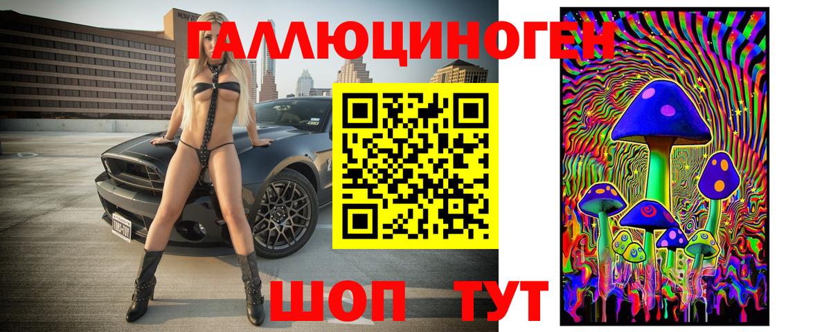 Псилоцибиновые грибы GOLDEN TEACHER  Вход с VPN  Оренбург  купить закладку  Псилоцибиновые грибы ЛСД 