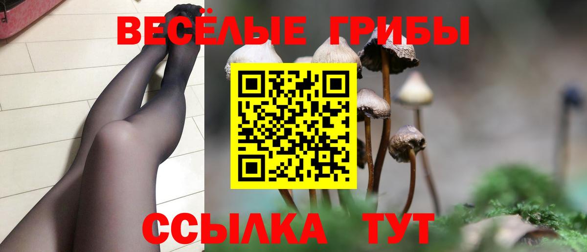 Псилоцибиновые грибы ЛСД Оренбург